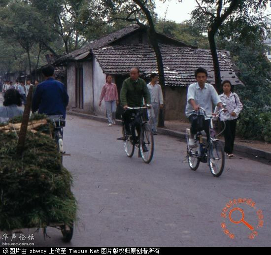 老外拍的1982年北京彩照