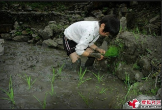 10岁女孩心酸日记：妈，求您卖了我吧