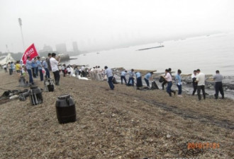 惨不忍睹：被泄漏石油污染的大连海滩