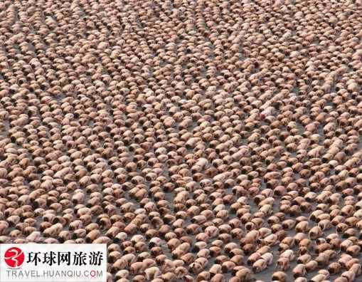 全球各地盛大的多人裸体行为艺术
