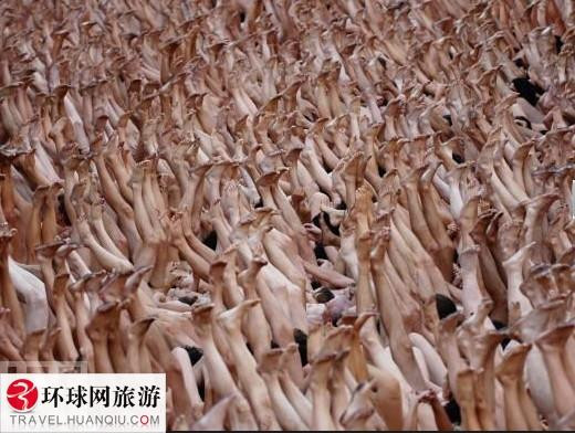 全球各地盛大的多人裸体行为艺术