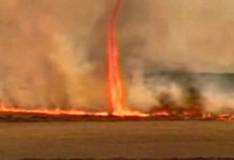 巴西草原出现罕见火旋风火焰高达数米