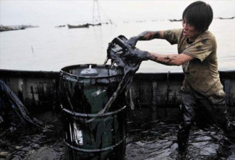 看海水被污染后大连渔民是如何挣钱的