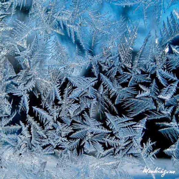 雪花里和霜表面的结晶水形成重复图案