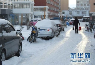 哈尔滨大庆降下入冬以来第一场大雪