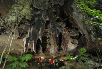 探秘婆罗洲巨型洞穴网：发现6万年细菌