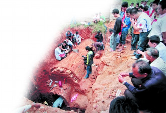 村民建公厕挖出唐古墓，出土大量珍宝