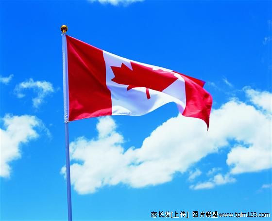 图片：加拿大国旗