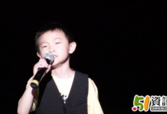 “I Have A Dream”：流行音乐汇巡演