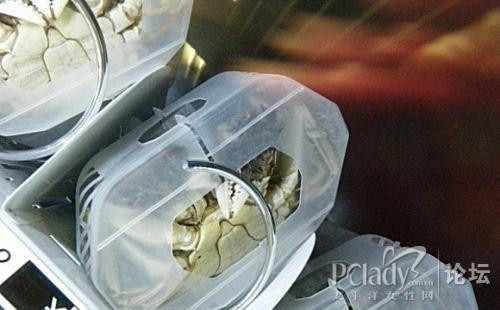 新鲜:南京地铁一号线内自动售卖机卖起活体大闸蟹(多图)