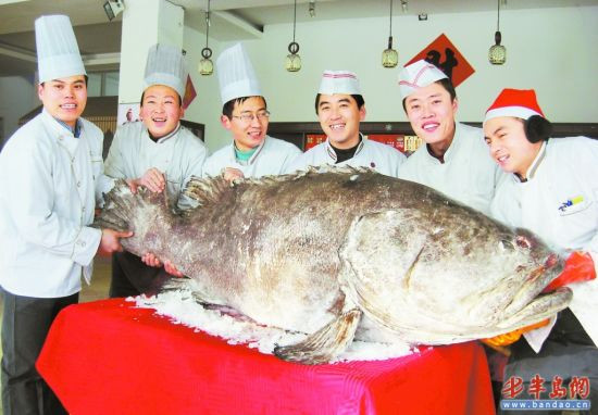 渔民捕获262斤重大石斑鱼 售价万余元够200人吃（图）