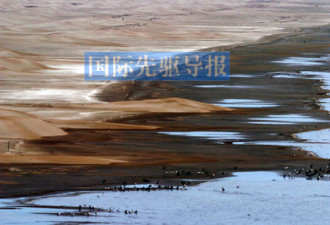 青藏雪山融化严重，祁连美景消失殆尽