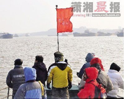 昨日,科考专家和志愿者前往洞庭湖进行科考调查,在东洞庭湖煤炭湾目击到5头江豚。 图/实习生 谢匡时