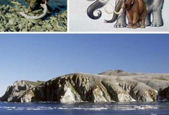 俄国弗兰格尔岛：世界最后猛犸栖息地