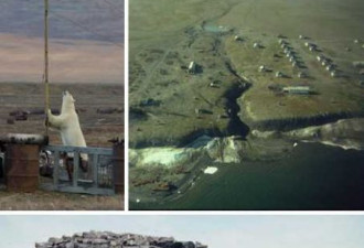 俄国弗兰格尔岛：世界最后猛犸栖息地
