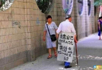 2010黑镜头：世界无尽的丑陋与仅存柔情