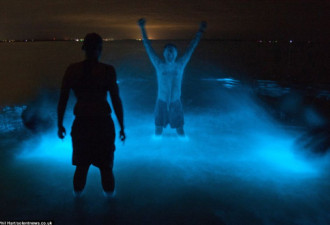 美！澳洲奇湖夜间发出天然幽蓝色荧光