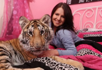 吓人一跳：17岁花季少女与老虎同床共枕