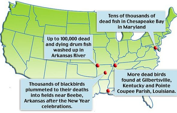 今年早些时候阿肯色河出现大约10万条死鱼