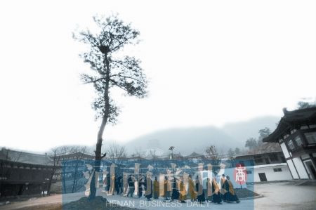 河南商报记者 王棣 文/图