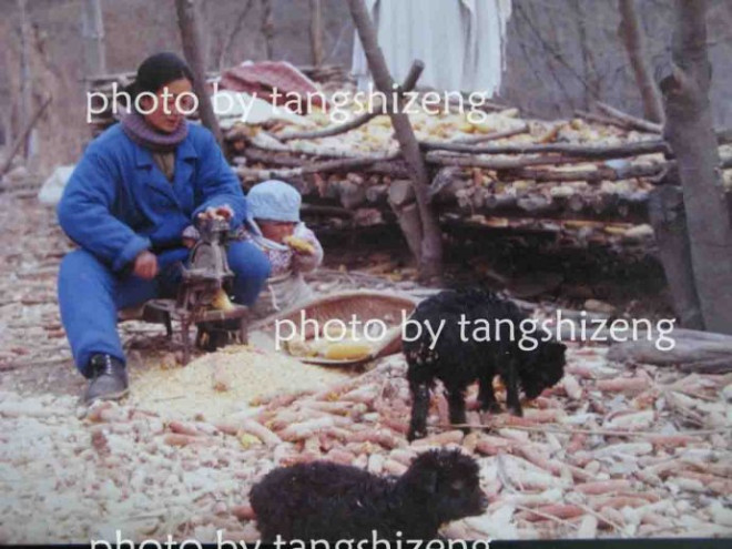 实拍:北大博士夫妇89年退隐深山 20年牧耕读书自己接生(多图)