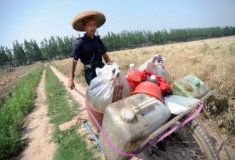 组图：两湖旱情相当严重 30万人用水困难