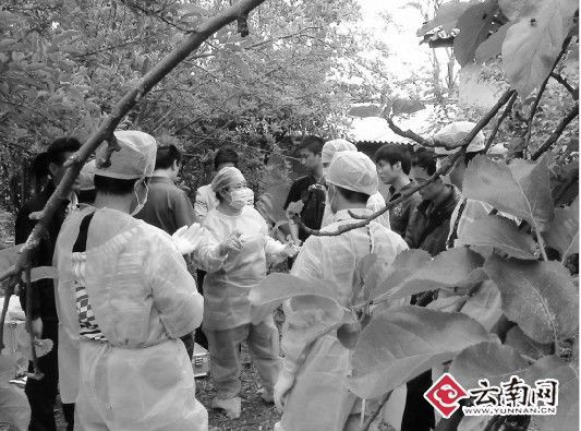 州、县的法医都赶到了案发现场