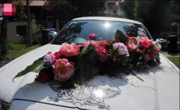 孙燕姿婚戒曝光微博搞怪婚照惹“怒”粉丝(图)