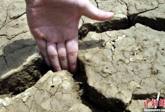 专家：长江中下游大面积干旱百年一遇