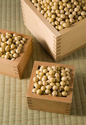 豆类同样有强大的保护作用
