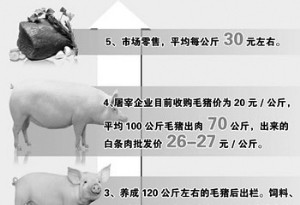 一只猪的身价飙升之旅 半年时间暴涨8倍