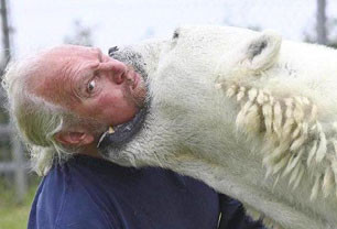 加国男子和北极熊感情深厚 一同玩自拍