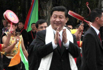 习近平参加西藏和平解放60周年活动