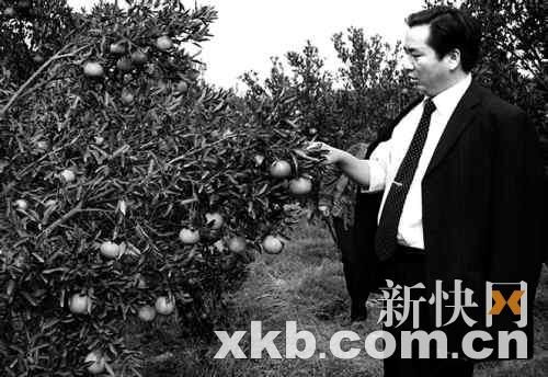 贵州三穗县副县长杨昌明