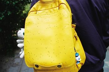 黄色书包上爬满飞虫 实习记者 姜兰晶摄影 （图片来源：北方新闻网）