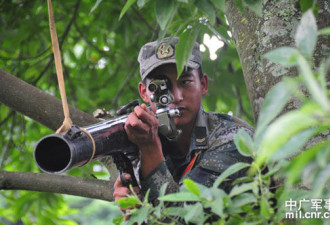 解放军苦练人猿泰山功夫 火炮上树射击