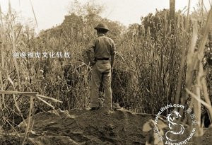 图：他们不只是背影 悲壮的中国远征军