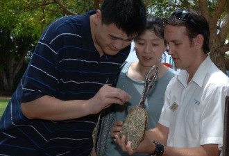 姚明赴澳洲为妻子挑珍珠项链 大秀恩爱