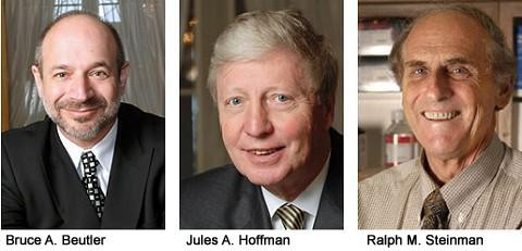 2011年诺贝尔医学奖得主：(从左至右)布鲁斯.比尤特勒 、朱尔斯.霍夫曼、拉尔夫.斯坦曼