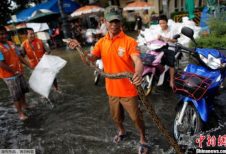 曼谷大皇宫前现巨蟒 洪水冲走多条鳄鱼