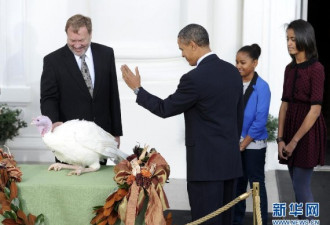 纽约感恩节游行 奥巴马赦免幸运火鸡