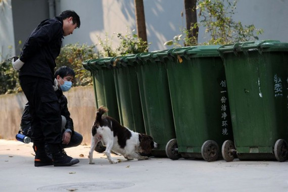 恐怖！合肥一小区发生碎尸案 狼狗发现垃圾桶有人手(组图)