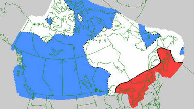 加拿大環境部最新長程氣象預報圖解，圖中藍色部分代表偏冷，紅色部分為偏暖，白色部分代表正常。（CBC）