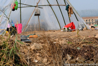 太白湖纪实拍摄 洞庭湖上的采藕人生活