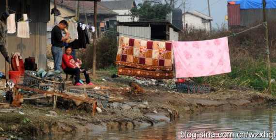 太白湖纪实拍摄:洞庭湖上的采藕人生活(高清组图)