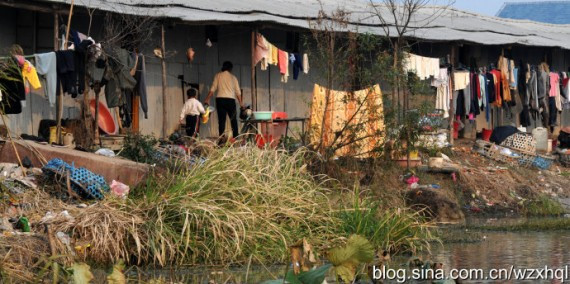 太白湖纪实拍摄:洞庭湖上的采藕人生活(高清组图)