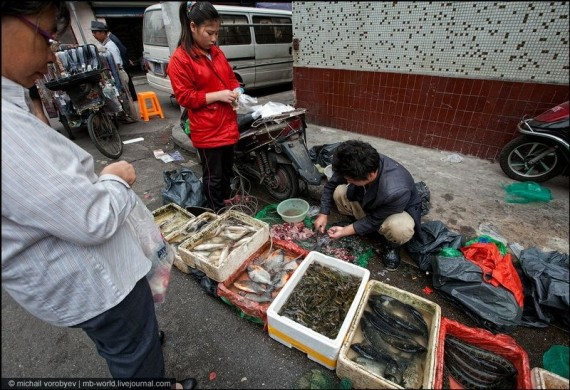 浮华都市深处的异景：上海即将消失的贫民窟(高清组图)