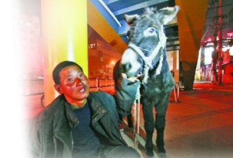 打工者牵驴从黑龙江步行5个月至南京