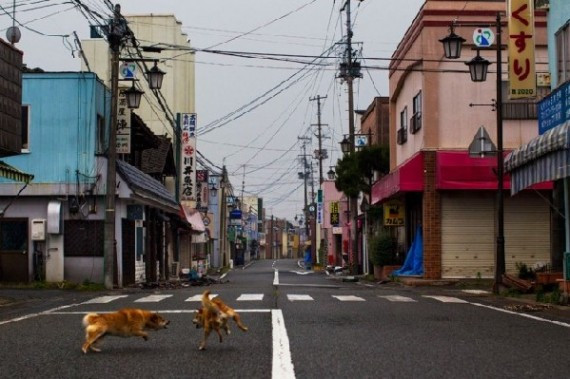 《国家地理》指派美联社摄影师探秘日本核泄漏禁区(组图)