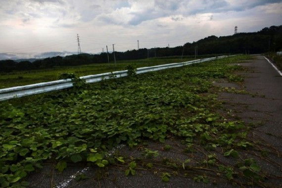 《国家地理》指派美联社摄影师探秘日本核泄漏禁区(组图)